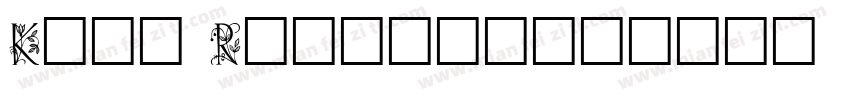 Koch Regular字体转换